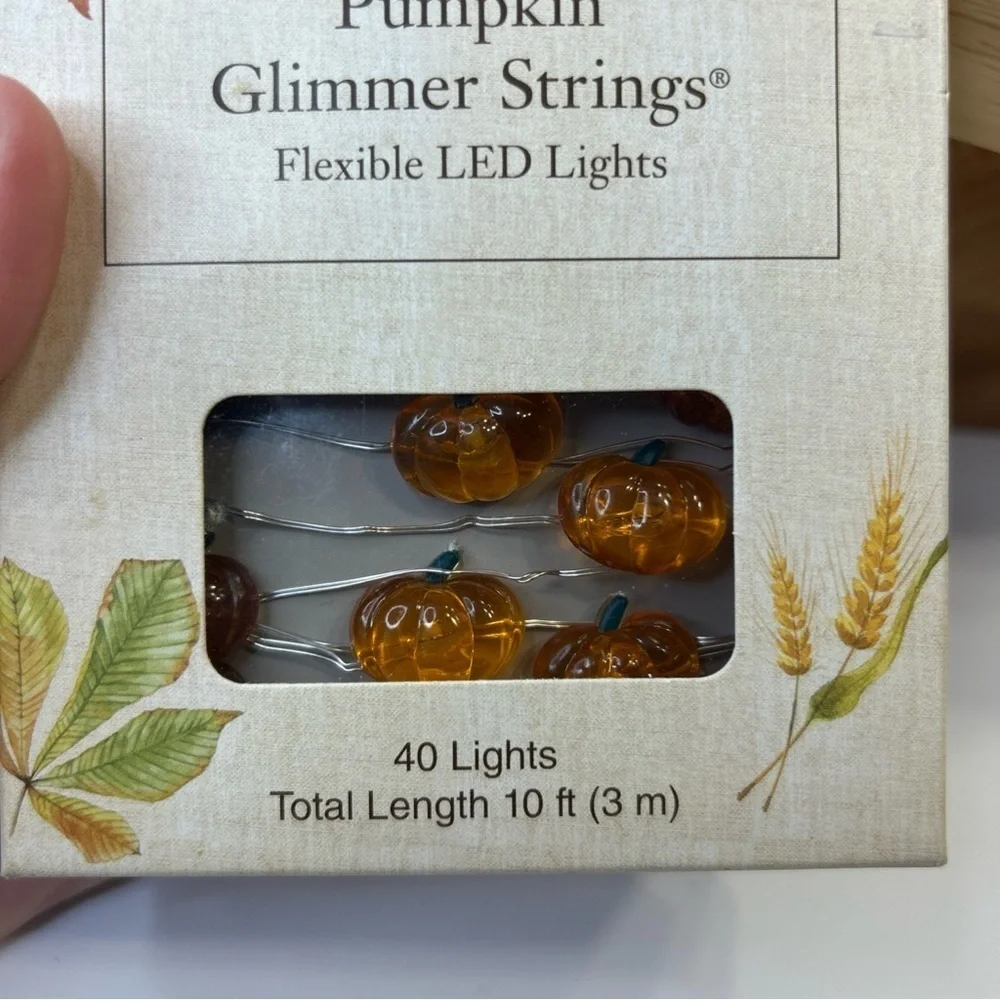NIB Pier 1 Imports Halloween 10ft Pumpkin Glimmer Strings 40 Flexible LED Lights